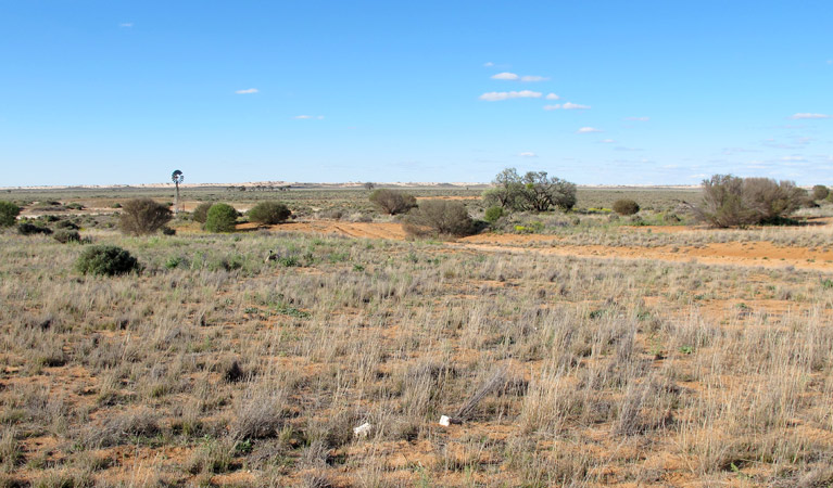 Self-guided drive tour, Mungo National Park. Photo: Wendy Hills/NSW Government