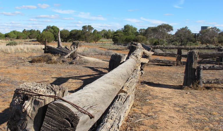 Zanci Pastoral loop, Mungo National Park. Photo: Wendy Hills/NSW Government