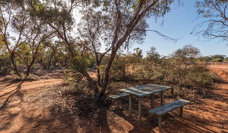 Rustic picnic table set beneath trees, surrounded by a patchwork of scrubland. Image credit: John Spencer &copy; DPIE