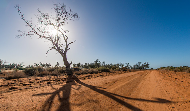 Vigars Well picnic area, Mungo National Park. Photo: John Spencer/NSW Government