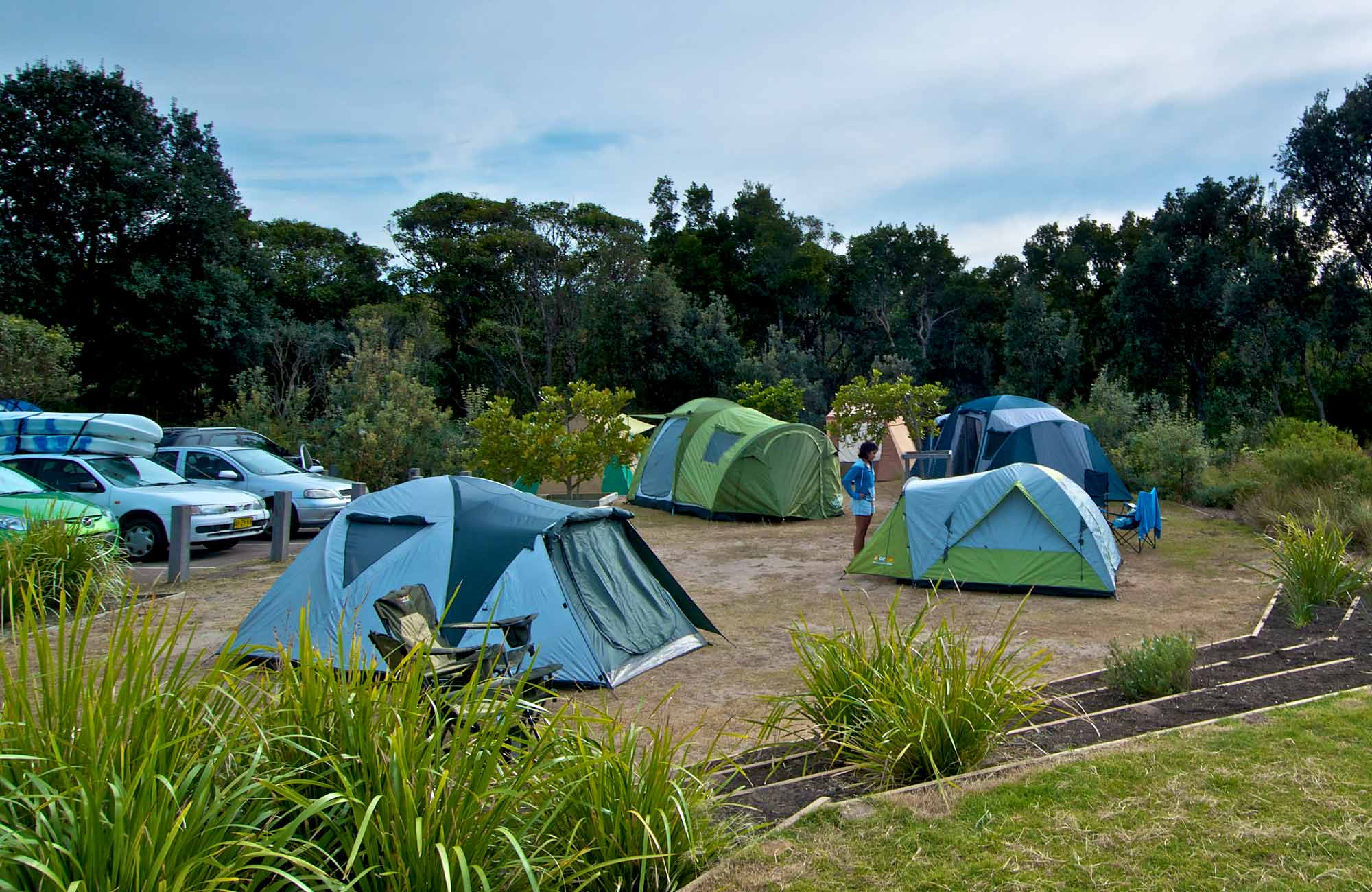 Freemans Campground, Munmorah State Conservation Area. 