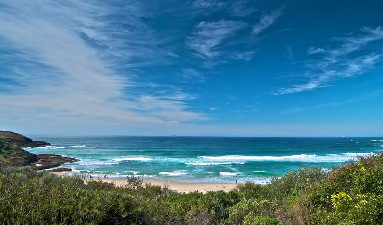 Frazer campground view, Munmorah State Conservation Area. Photo: John Spencer &copy; DPIE