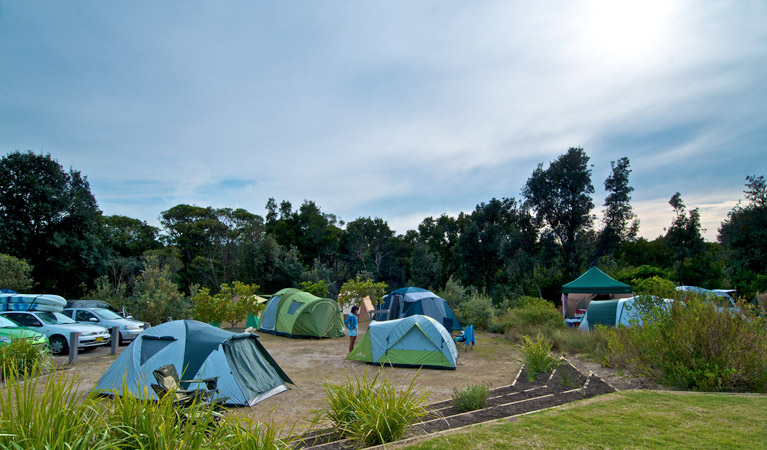 Tents in Freemans campground, Munmorah State Conservation Area. Photo: John Spencer/DPIE