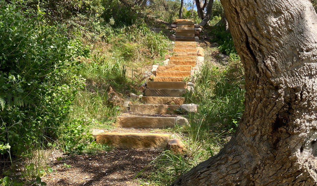 Steps ascending a tree-lined path on the Grass tree track, Munmorah State Conservation Area. Photo: Stacy Wilson &copy; DCCEEW
