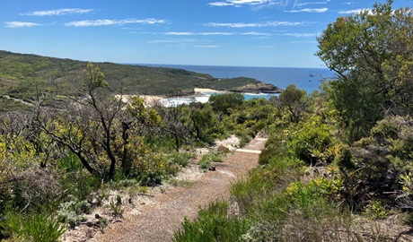 Coastal view from the Grass tree track, Munmorah State Conservation Area. Photo: Stacy Wilson &copy; DCCEEW