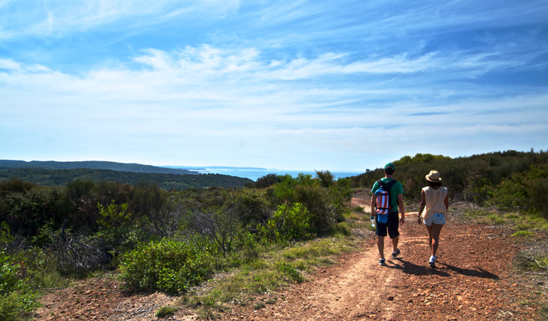 People walking on the Moonee Beach walking track. Photo: John Spencer &copy; OEH