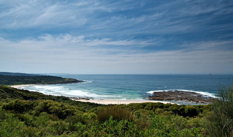 Moonee Beach walking track ocean views. Photo: John Spencer &copy; OEH