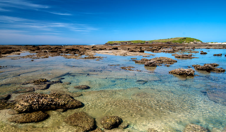 Moonee Beach walking track rock pools, Munmorah State Conservation Area. Photo: John Spencer &copy; OEH