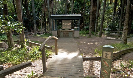 Palms picnic area in Munmorah State Conservation Area. Photo: John Spencer