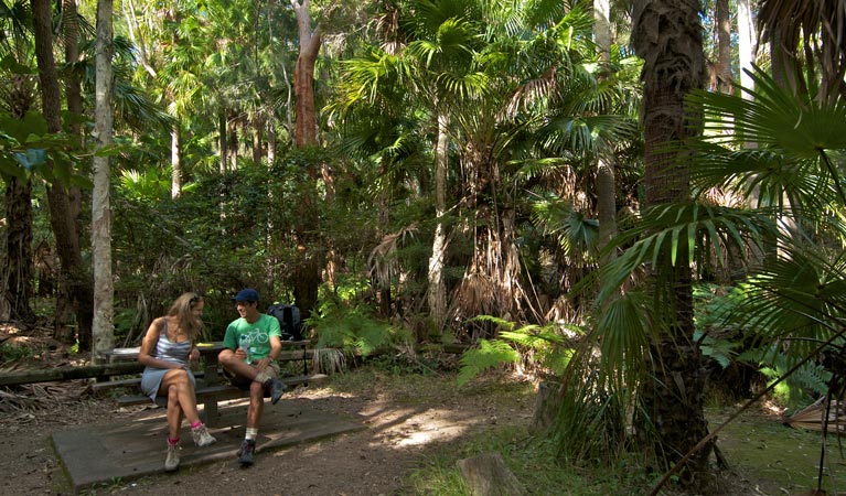 Palms picnic area benches, Munmorah State Conservation Area. Photo: John Spencer &copy; DPIE