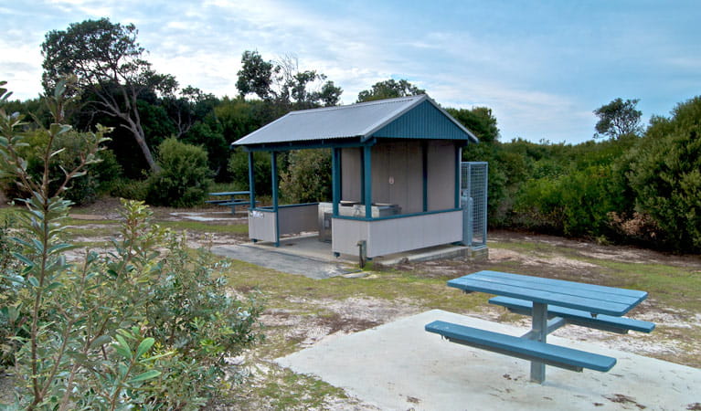 Tea Tree picnic area shelter, Munmorah State Conservation Area. Photo: John Spencer