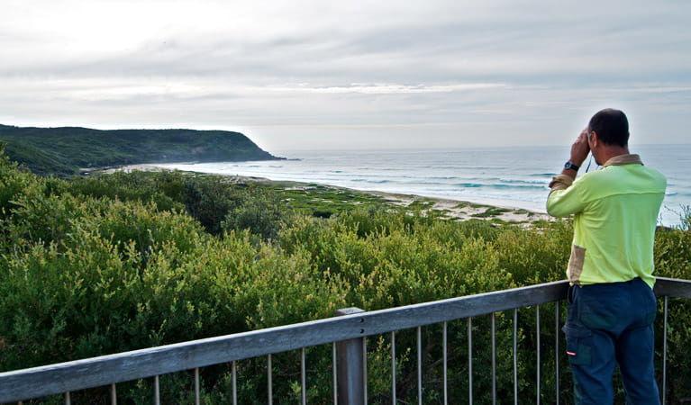 Ranger looking out from Tea Tree lookout. Photo: John Spencer