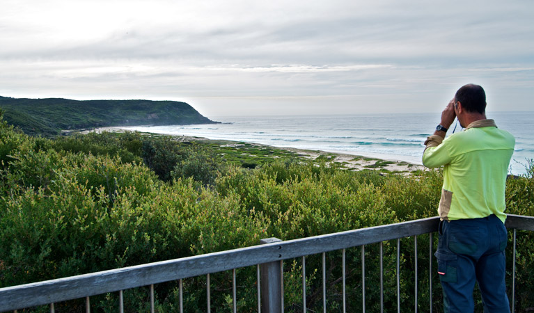 Ranger looking out from Tea Tree lookout. Photo: John Spencer