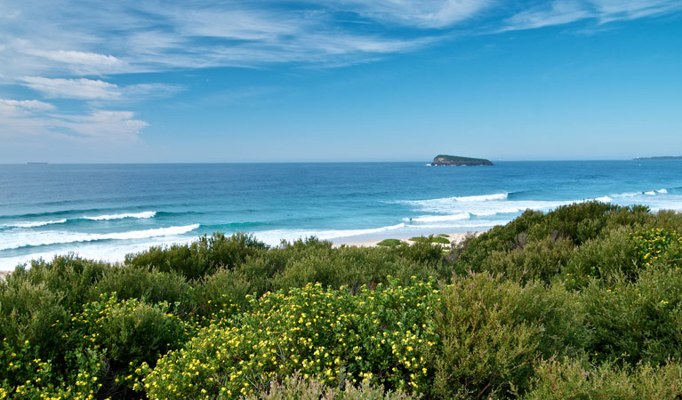 Tea Tree picnic area beach views, Munmorah State Conservation Area. Photo: John Spencer