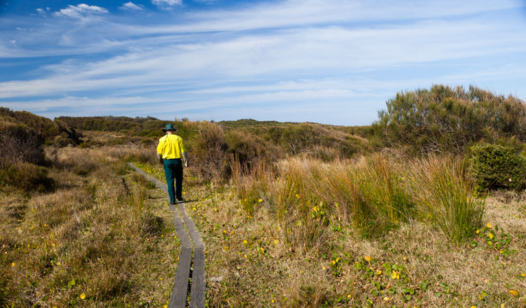 Murramarang Aboriginal Area Area Walk, Murramurang Aboriginal Area. Photo: Lucas Boyd &copy; OEH