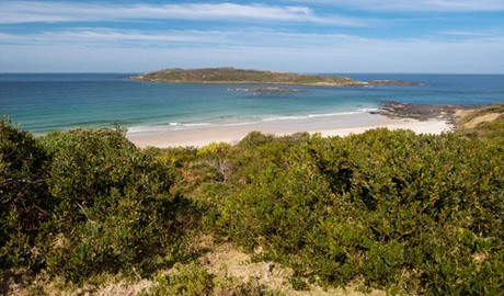 Murramarang Aboriginal Area. Photo: Lucas Boyd &copy; DPIE