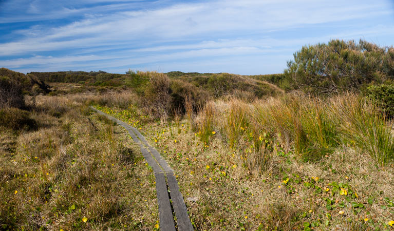 Murramarang Aboriginal Area. Photo: Lucas Boyd &copy; DPIE