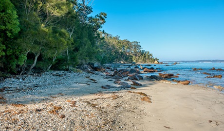 Acheron Ledge walking track, Murramarang National Park. Photo: Michael van Ewijk &copy; OEH