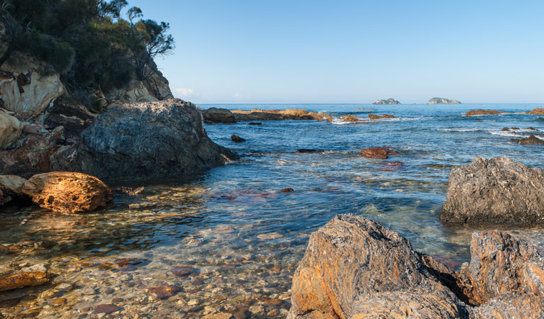 Acheron Ledge walking track, Murramarang National Park. Photo: Michael van Ewijk &copy; OEH