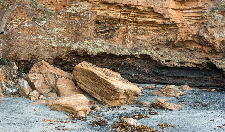 Dark Beach walking track, Murramarang National Park. Photo: Michael van Ewijk &copy; OEH