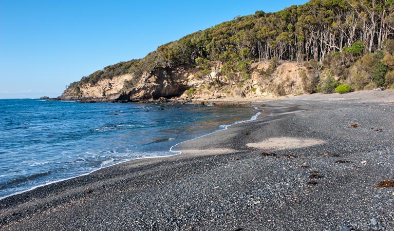 Dark Beach walking track, Murramarang National Park. Photo: Michael van Ewijk &copy; OEH