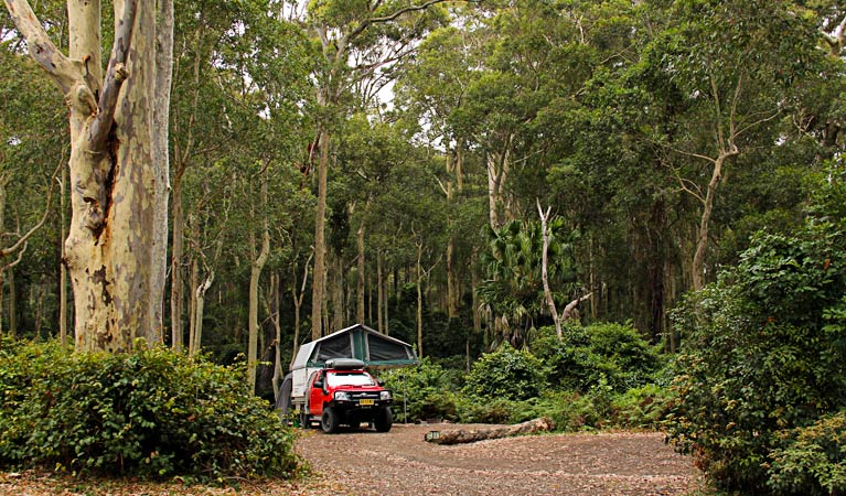 Depot Beach campground, Murramarang National Park. Photo: John Yurasek/NSW Government