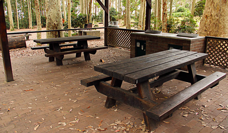 Depot Beach campground, Murramarang National Park. Photo: John Yurasek/NSW Government