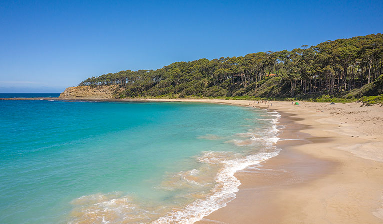 Depot Beach in Murramarang National Park. Photo: John Spencer &copy; DPIE