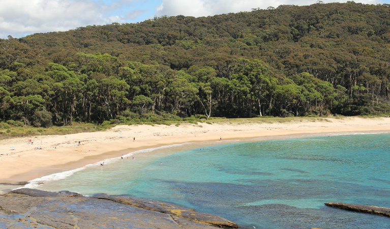 View over Depot Beach towards Depot Beach picnic area. Photo: John Yurasek/DPIE