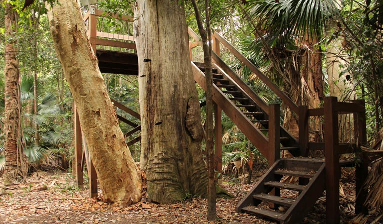 Durras Lake Discovery Trail, Murramarang National Park. Photo: John Yurasek &copy; OEH