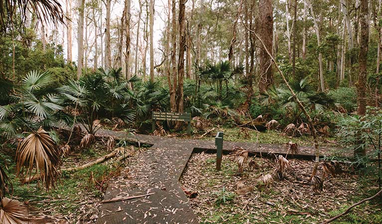 Durras Lake discovery trail and walking tracks, Murramarang National Park. Photo: David Finnegan &copy; OEH