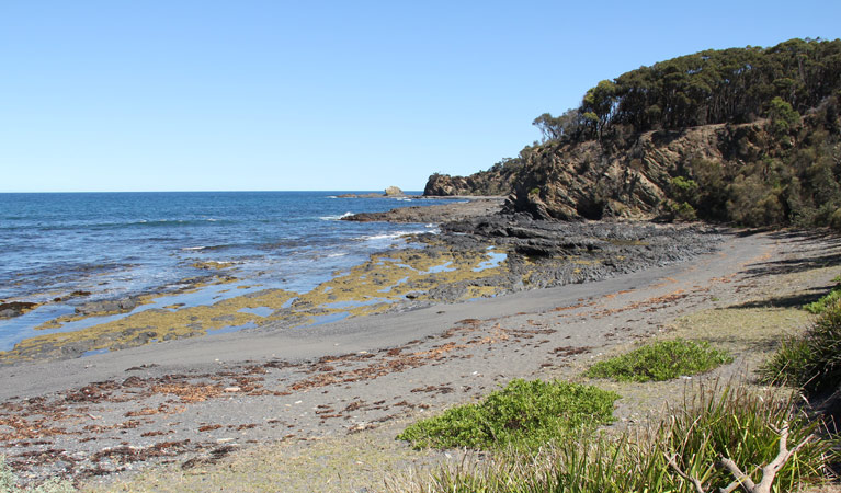 Honeysuckle Beach walk, Murramarang National Park. Photo: John Yurasek &copy; OEH