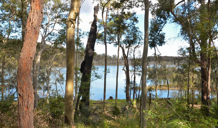 View of Durras Lake along Lake walking track, Murramarang National Park. Photo &copy; Michael Jarman