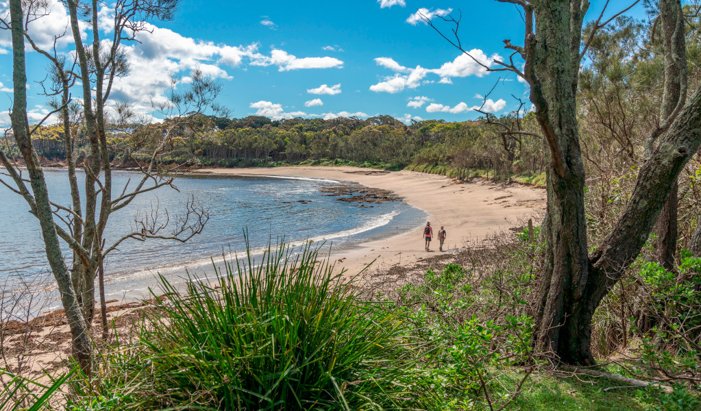 View of Yellow Rock Beach and the headland through the trees. Credit: John Spencer &copy; DPE