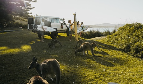 Surfers and kangaroos enjoy the view at NRMA Murramarang Beachfront Holiday Resort in Murramarang National Park. Photo: NRMA Parks and Resorts &copy; NRMA Parks and Resorts