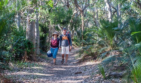 Myrtle Beach walking track, Murramarang National Park. Photo: Michael Van Ewijk