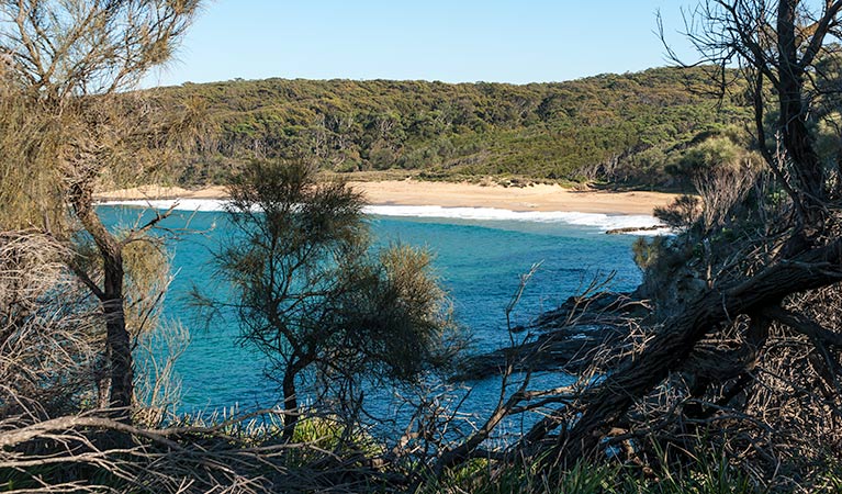 Myrtle Beach walking track, Murramarang National Park. Photo: Michael Van Ewijk &copy; OEH