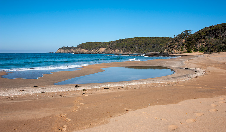 Myrtle Beach walking track, Murramarang National Park. Photo: Michael Van Ewijk &copy; OEH