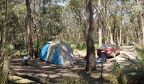 North Head Campground, Murramarang National Park. Photo: John Yurasek/NSW Government