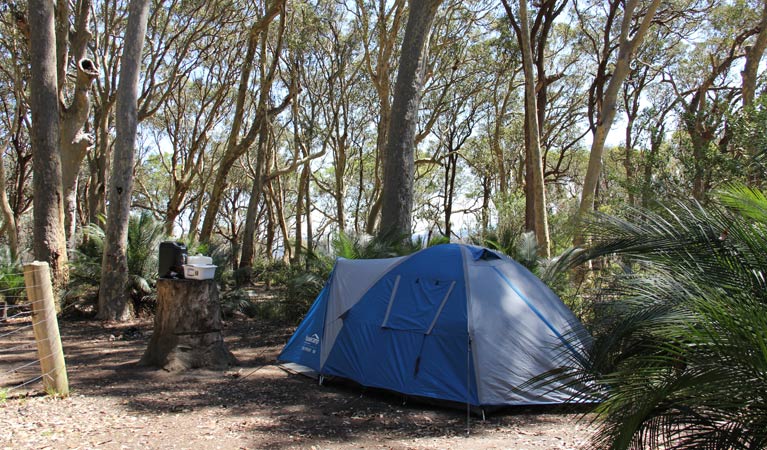 North Head Campground, Murramarang National Park. Photo: John Yurasek/NSW Government