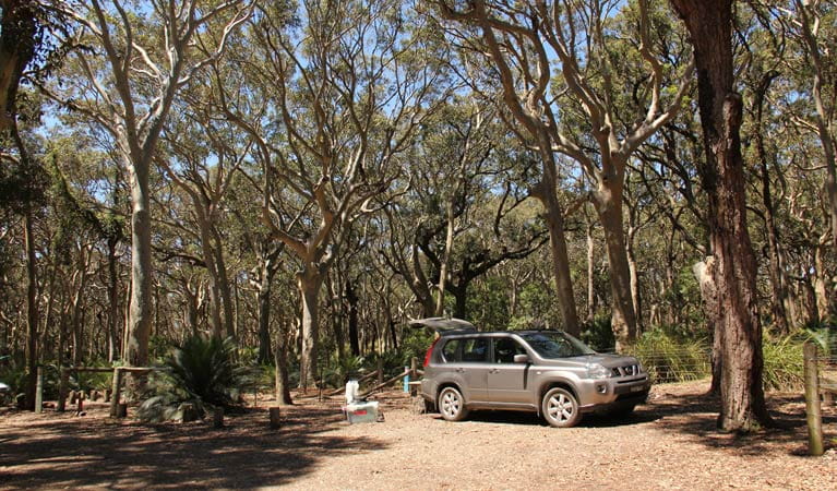 North Head Campground, Murramarang National Park. Photo: John Yurasek/NSW Government