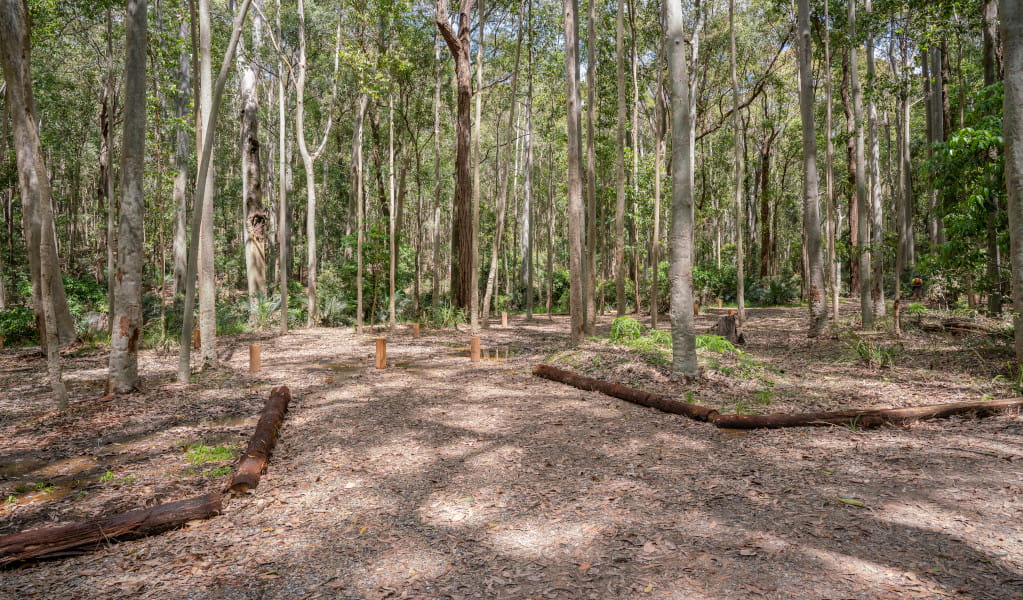 Tall trees and campsite at Oaky Beach campground in Murramarang National Park. Credit: John Spencer &copy; DPE