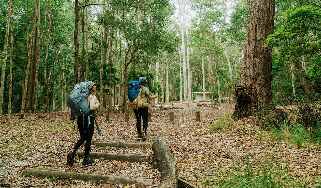 2 bushwalkers following a track through forest, Murramarang National Park. Credit: Remy Brand &copy; Remy Brand