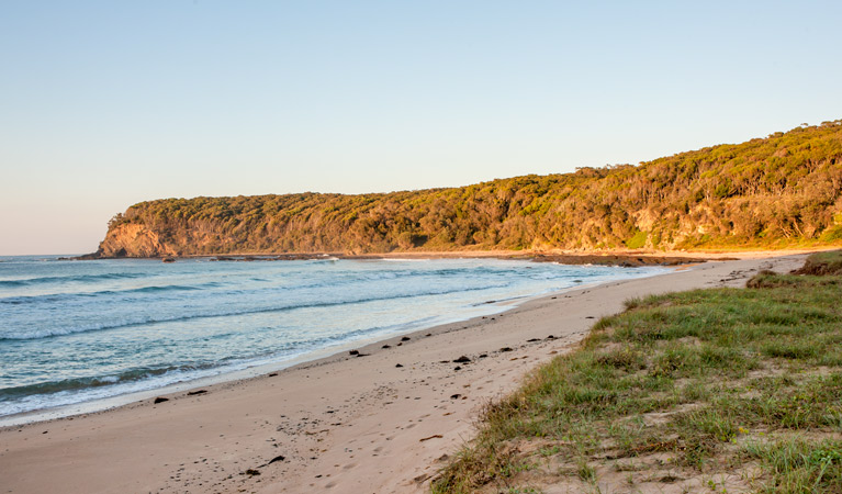 Oaky Beach walking track, Murramarang National Park. Photo: Michael van Ewijk &copy; OEH