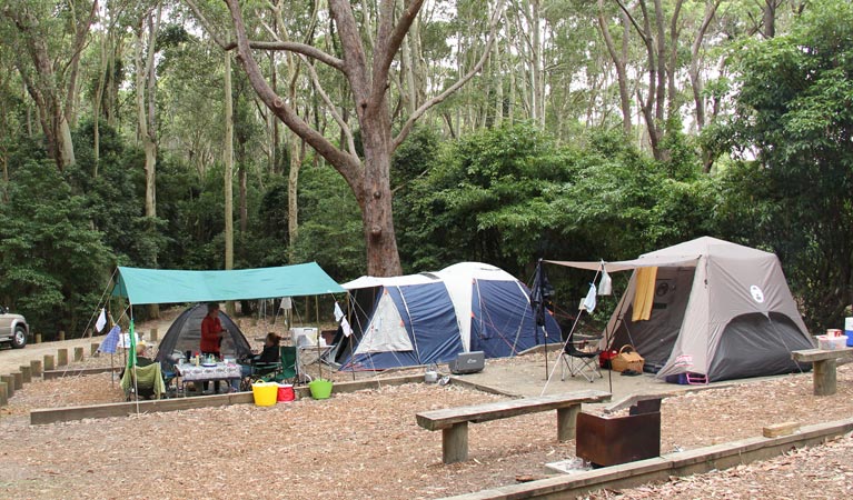 Tents in Pebbly Beach campground. Photo: John Yurasek