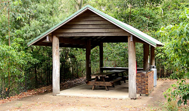 Pebbly Beach campground, Murramarang National Park. Photo: John Yurasek