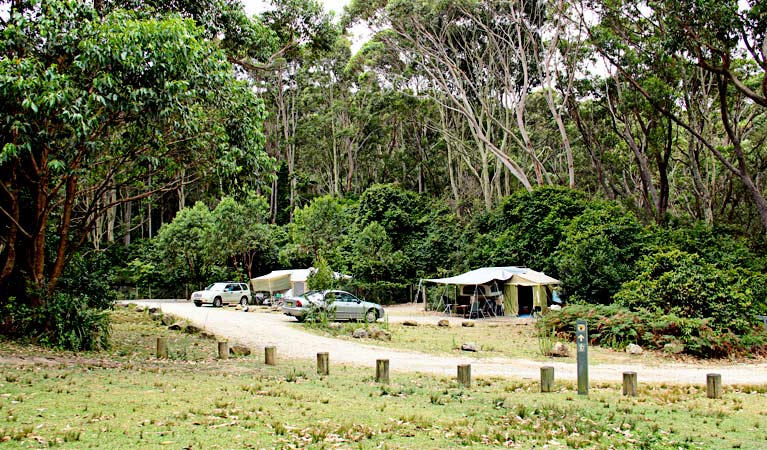 Pebbly Beach campground, Murramarang National Park. Photo: John Yurasek