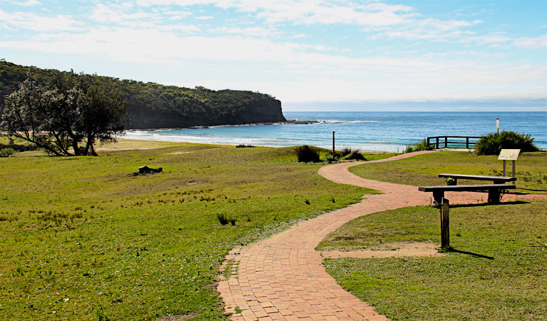 Pebbly Beach campground, Murramarang National Park. Photo: John Yurasek