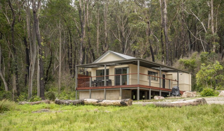 The exterior of Pebbly Beach shacks surrounded by coastal rainforest in Murramarang National Park. Photo: John Spencer &copy; DPIE