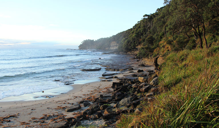 Pebbly Beach to Durras Mountain, Murramarang National Park. Photo: John Yurasek &copy; OEH